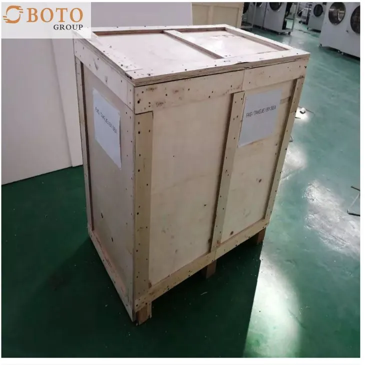 Commercial Spay Dryer Small Freeze Drying Vacuum Lyophilized Vegetable Fruit Drying Oven Home Freeze Dryer