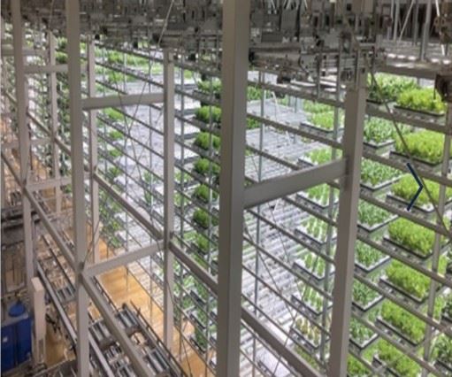 Farm & Factory TAMURA، بزرگترین کارخانه کارخانه کاملاً بسته ژاپن است. خودکار ...